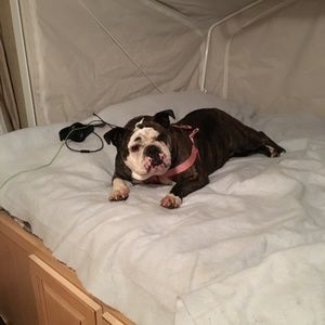 Meet your Posher, Jen